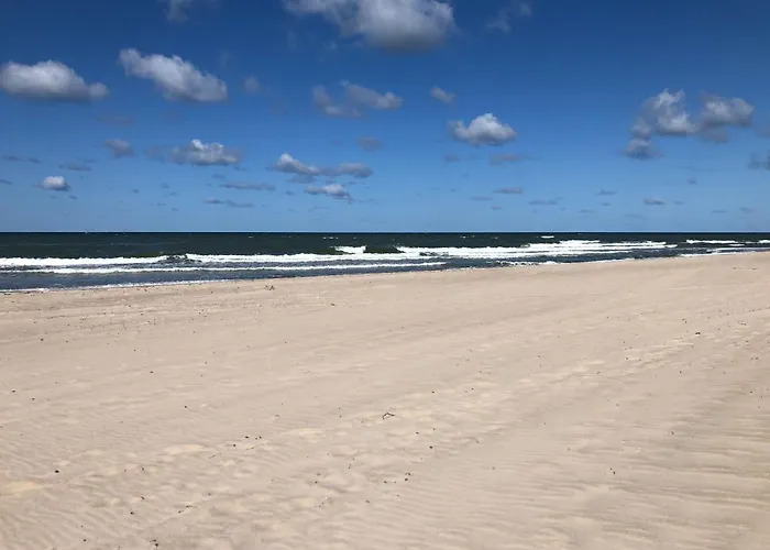 Sloneczny Typu Sianozety