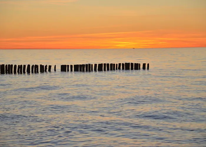 Lejlighed Sloneczny Typu Sianozety